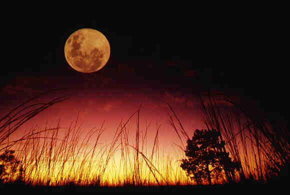 MOONGLOW.jpg